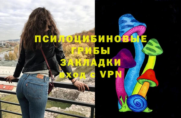 скорость Бородино