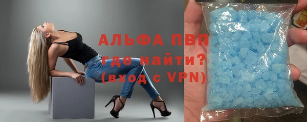 прущие грибы Верхний Тагил