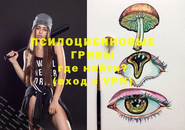 скорость Бородино