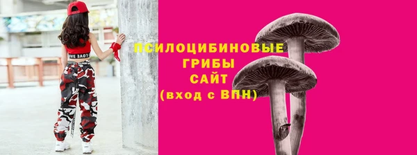 тгк Бугульма