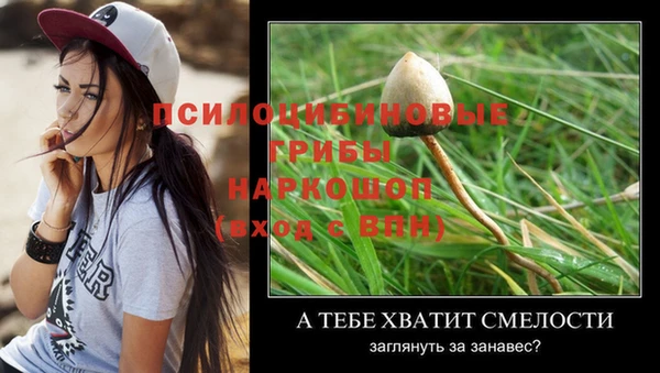 трава Верхнеуральск
