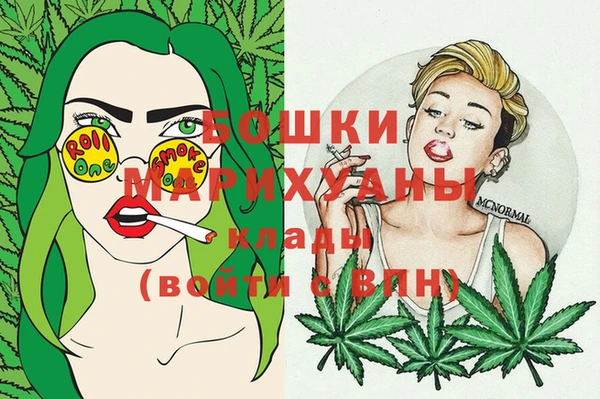 прущие грибы Верхний Тагил